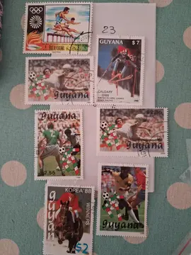 timbres Sports