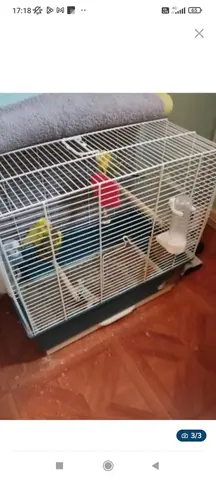 Cage complète