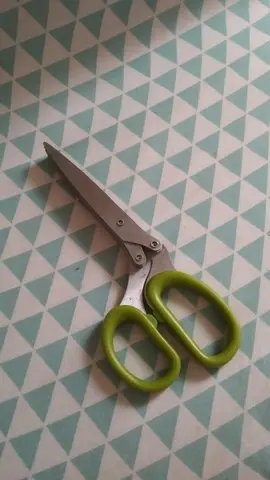 ciseaux à multiple lames