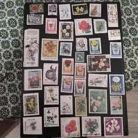 donne timbres fleurs 1lot par envoie
