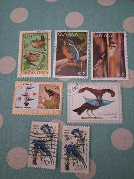 timbres thème oiseaux