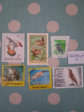timbres oiseaux 3