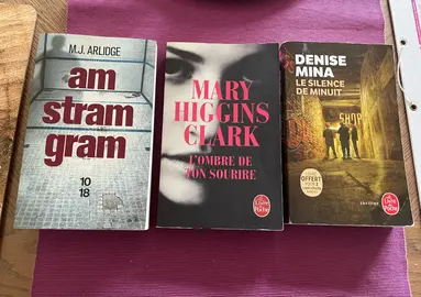 lot romans policiers