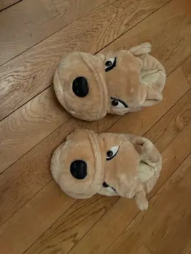 chaussons adulte