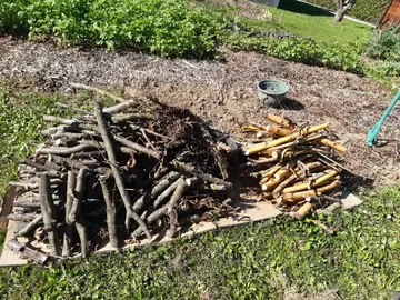 petit bois de chauffage