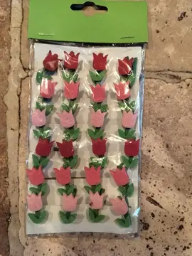 Broches / pinces décoratives