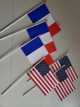 3 drapeaux Français / 3 États-Unis Unis