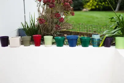 petits pots de fleurs