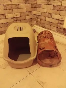 accessoires pour chats