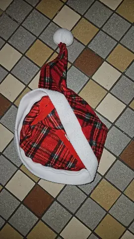 donne Ce type de bonnet est souvent appelé un "chapeau de Noël pour chien" ou "bonnet de Père Noël