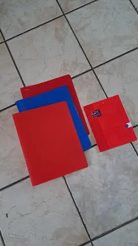 3 classeurs fins etc1 cahier à récupérer ce mercredi