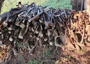 Donne bois pour chauffage barbecue à récupérer sur Muret 31600