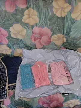 pull pour petits chiens