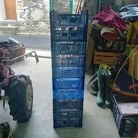 Cagettes en plastique