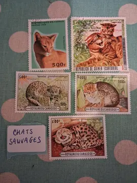 timbres thème CHATS SAUVAGES