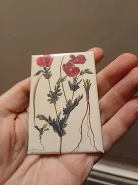 magnet coquelicots