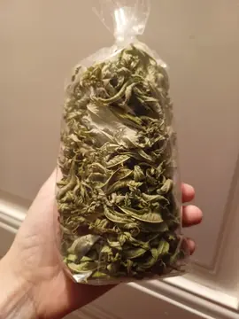 verveine séchée du jardin