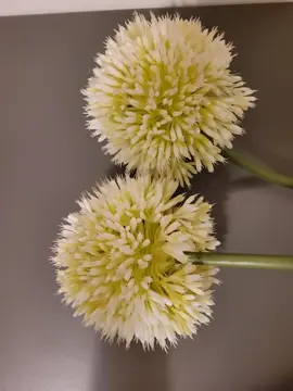 2 fleurs plastiques