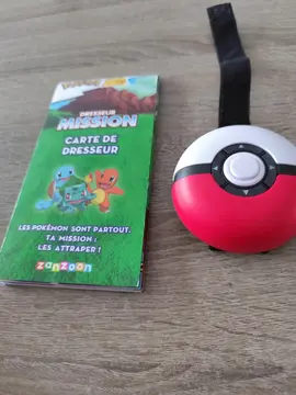 Pokémon dresseur mission