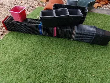 une cinquantaine de petits pots pour semences de graines