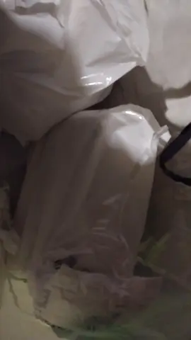 donne couche taille 6 je dirai plus taille 5 2 paquet