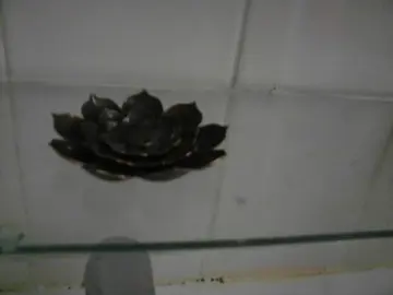 support pour baguette d'encens