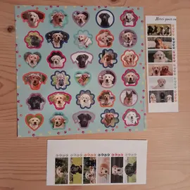 autocollants chien