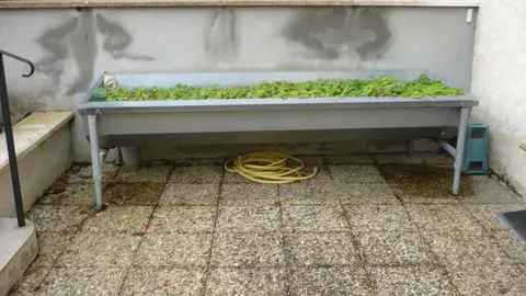 Mangeoire pour aninmaux