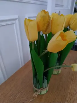 Tulipes artificielles