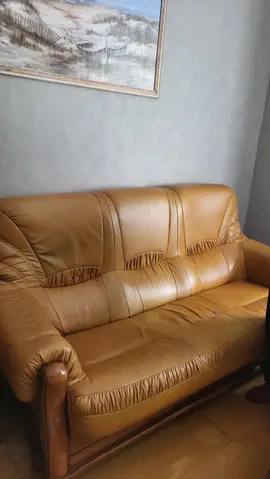 canapé cuir et bois