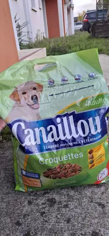 croquettes pour chien