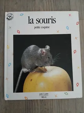 livre enfant "la sourie"