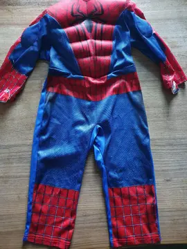 Déguisements/ costumes de héros