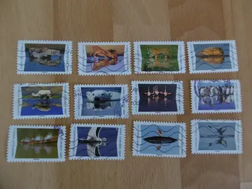 Série Animaux du monde-Reflets 2020