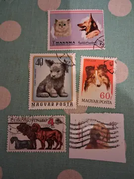 Timbres Chiens monde