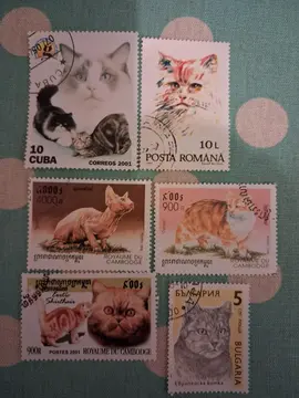 Timbres joli lot CHATS