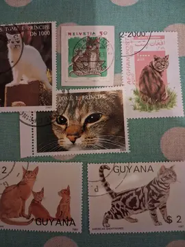 Timbres CHATS Monde