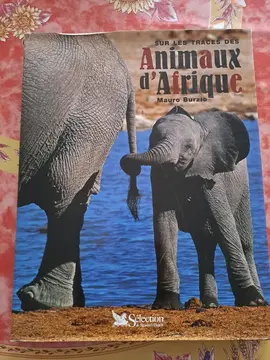 Livre sur les animaux d'Afrique