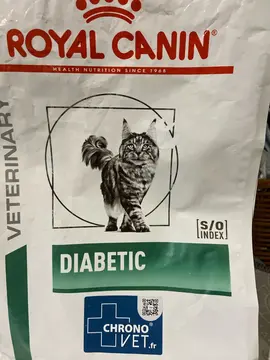 croquettes chat diabétique