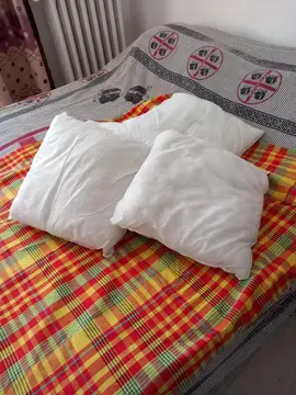 4 coussin sans les housse