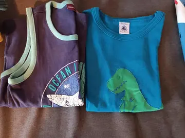 1 Tee-shirt et 1débardeur 5ans