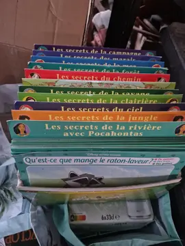 fiche collection Disney