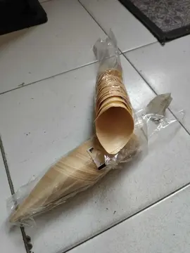 Lot de Petits cornet en feuille de Pin Neuf