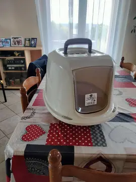 donne litière pour chaton