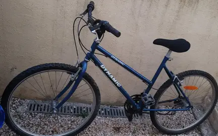 Vélo adulte en l'état