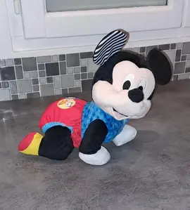 Mickey a 4 pattes