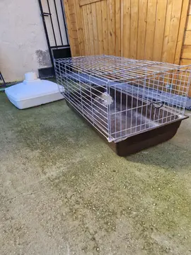 cage lapin