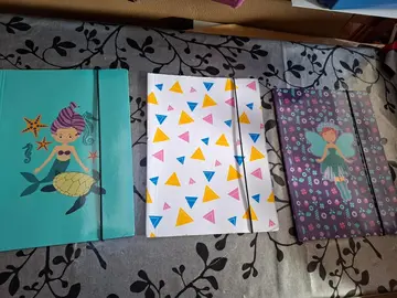 Chemises pour dossier