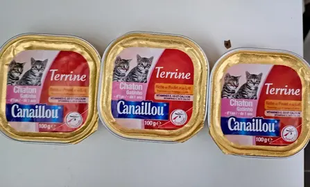 je donne trois terrines pour chaton