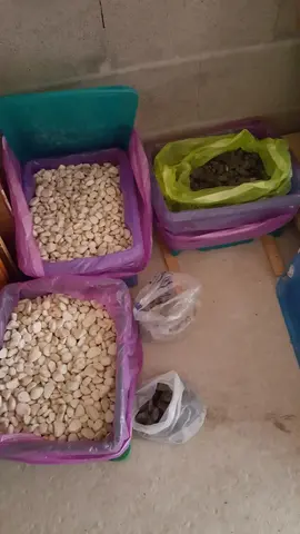 don pierre décoration extérieur